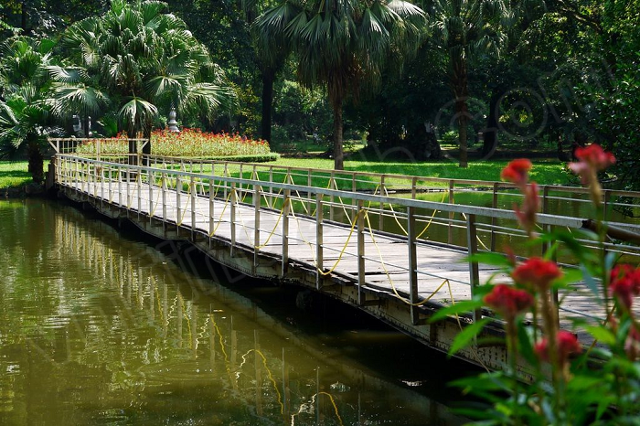 Expats in HoiAn Vietnam