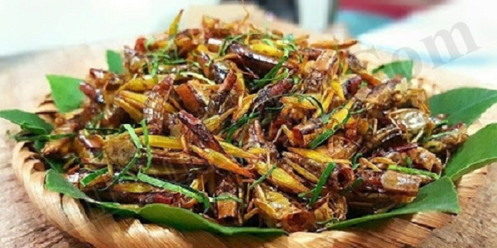 Jing Leed: A Bold and Crunchy Vietnamese Delicacy (Grasshoppers - Châu Chấu)