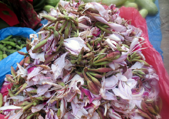 Orchid Tree Salads (Gỏi cây lan)