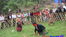 Blind Man's Buff that's funny game in Vietnam