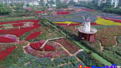 West Lake's Blossoming Paradise: Flower Valley